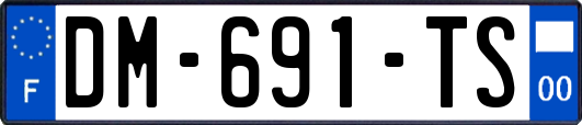 DM-691-TS