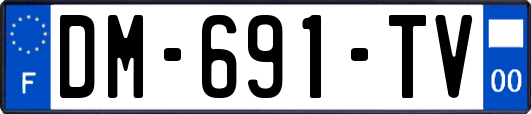 DM-691-TV