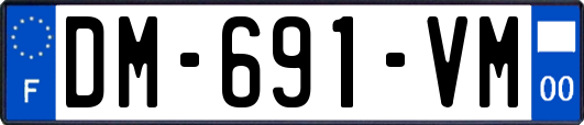 DM-691-VM