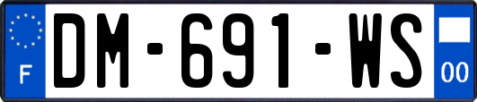 DM-691-WS