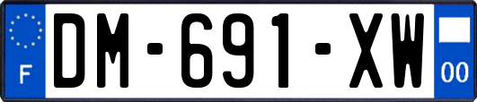 DM-691-XW