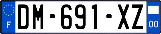 DM-691-XZ