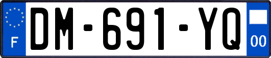 DM-691-YQ