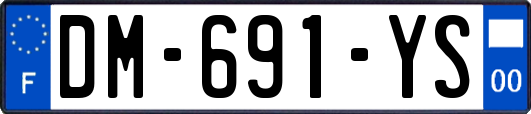 DM-691-YS