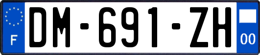 DM-691-ZH