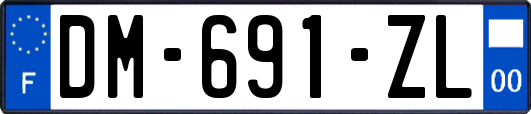 DM-691-ZL