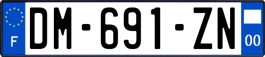 DM-691-ZN