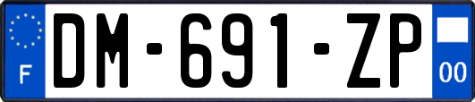 DM-691-ZP