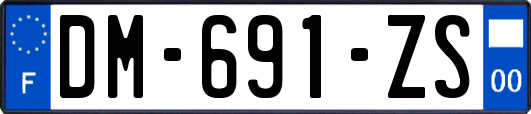 DM-691-ZS