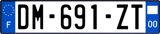 DM-691-ZT