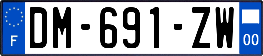 DM-691-ZW