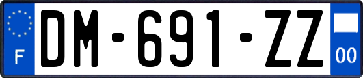 DM-691-ZZ