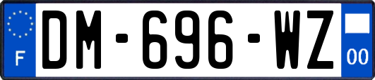 DM-696-WZ