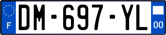 DM-697-YL