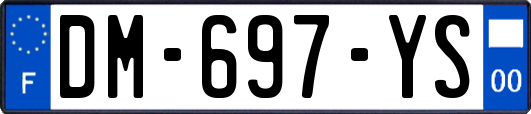 DM-697-YS