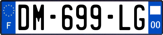 DM-699-LG