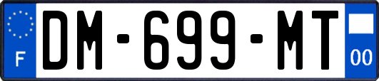 DM-699-MT