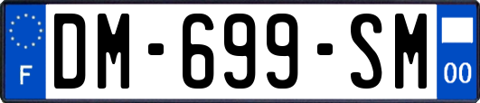 DM-699-SM