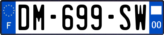 DM-699-SW