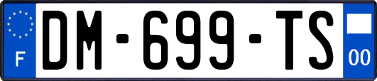 DM-699-TS