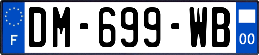 DM-699-WB