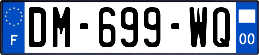 DM-699-WQ