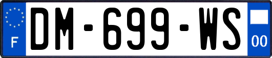 DM-699-WS