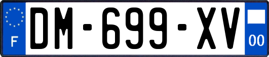 DM-699-XV