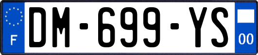 DM-699-YS