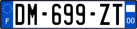 DM-699-ZT