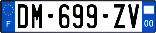 DM-699-ZV