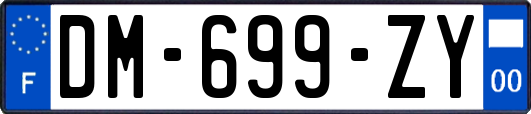 DM-699-ZY