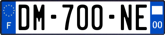 DM-700-NE