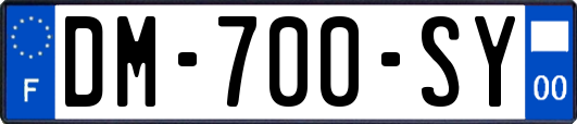 DM-700-SY