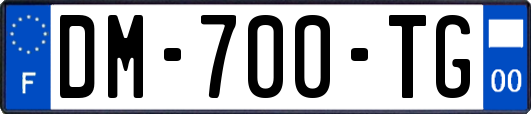 DM-700-TG