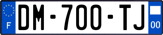 DM-700-TJ