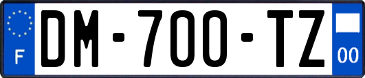 DM-700-TZ