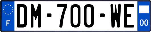 DM-700-WE