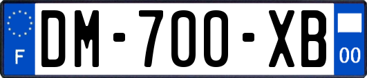 DM-700-XB