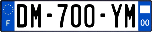 DM-700-YM