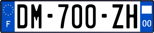 DM-700-ZH