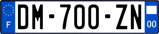 DM-700-ZN