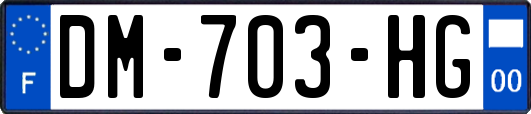 DM-703-HG