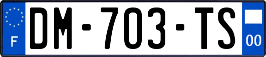 DM-703-TS