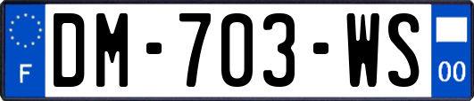 DM-703-WS