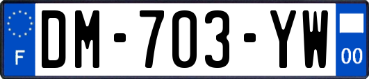 DM-703-YW