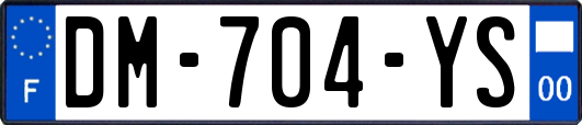 DM-704-YS