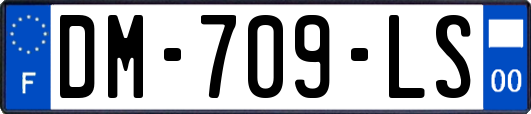 DM-709-LS