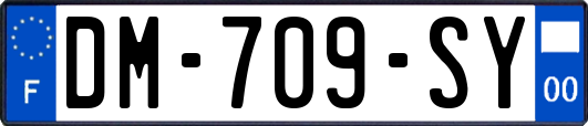 DM-709-SY