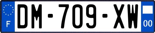 DM-709-XW